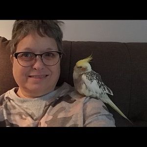 Meet your Posher, Dawn